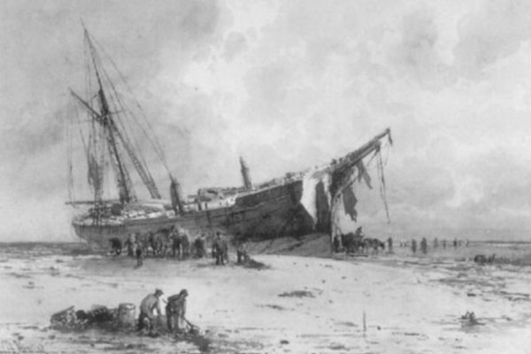 Aliquyam erat sed diam